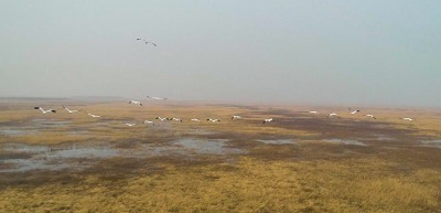吉林省湿地保护与修复工程成绩斐然