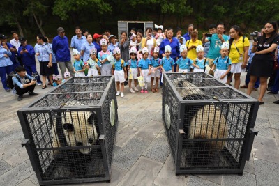 欢送大熊猫“嘉嘉”和“梦梦”回故乡仪式在吉林省东北虎园举行